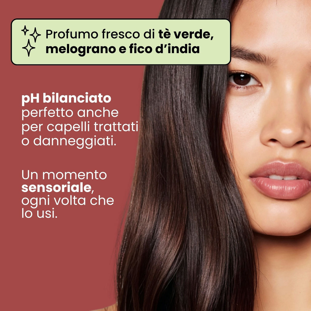 Shampoo Solido Ristrutturante per capelli Rovinati x2