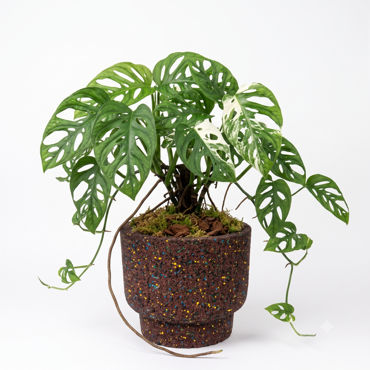Vaso tondo con base rialzata in gomma riciclata da pneumatici