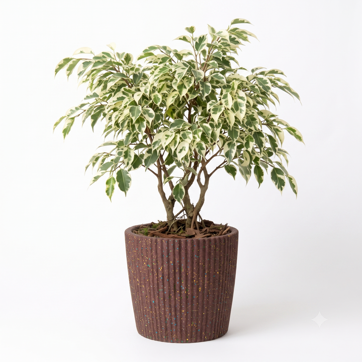 Vaso tondo scanalato in gomma riciclata da pneumatici