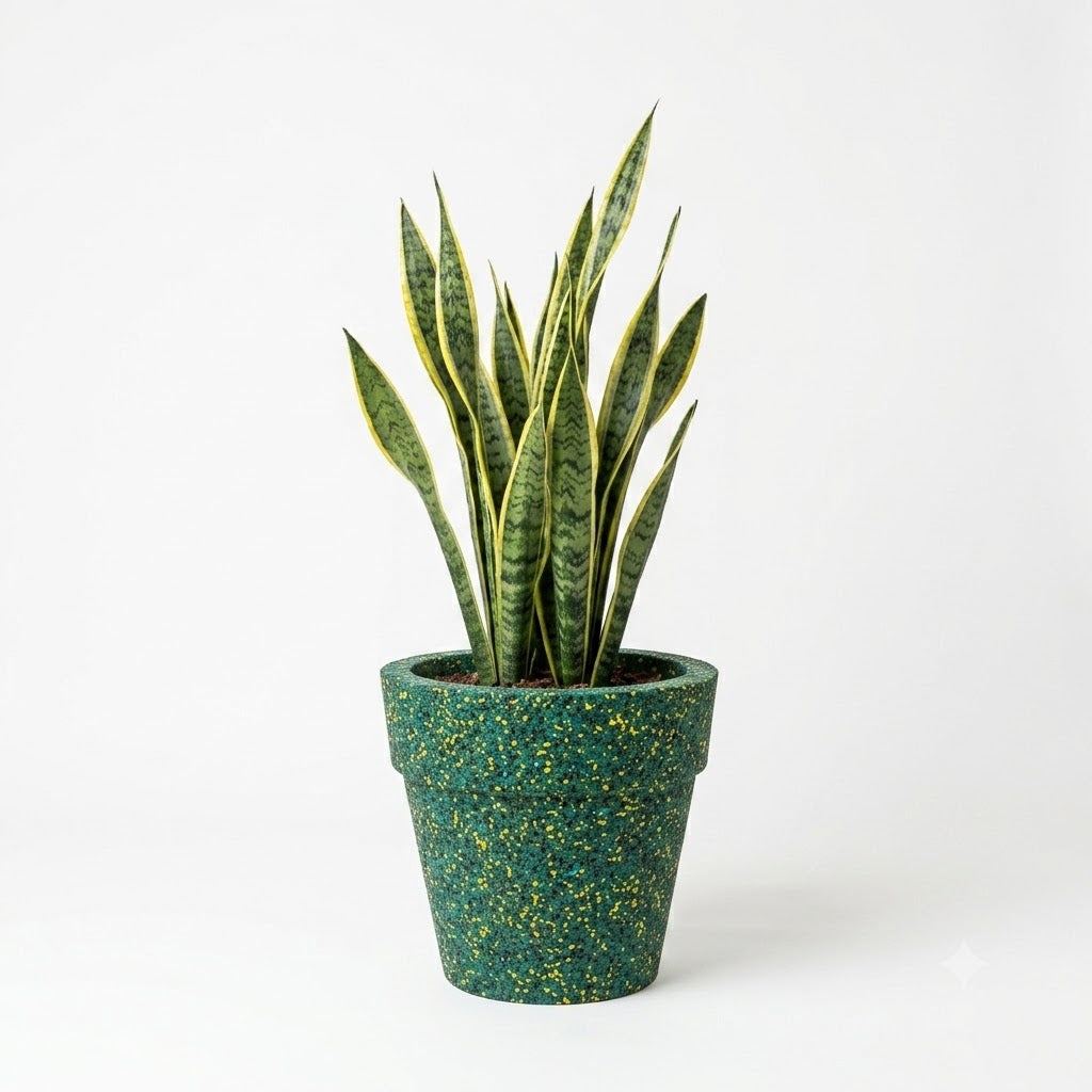 Vaso classico in gomma riciclata da pneumatici