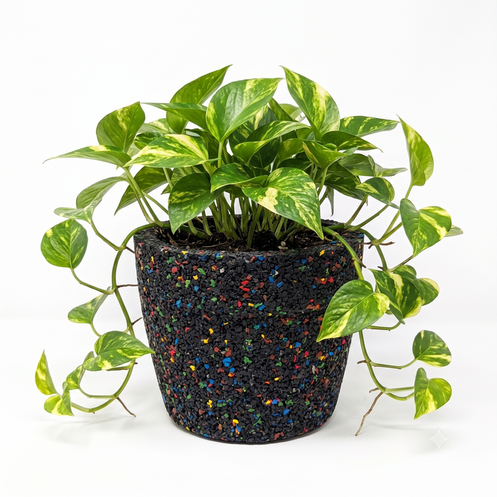 Vaso conico in gomma riciclata da pneumatici