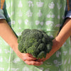Grembiule di puro cotone biologico jacquard fruits verde con cavolfiore e ragazza