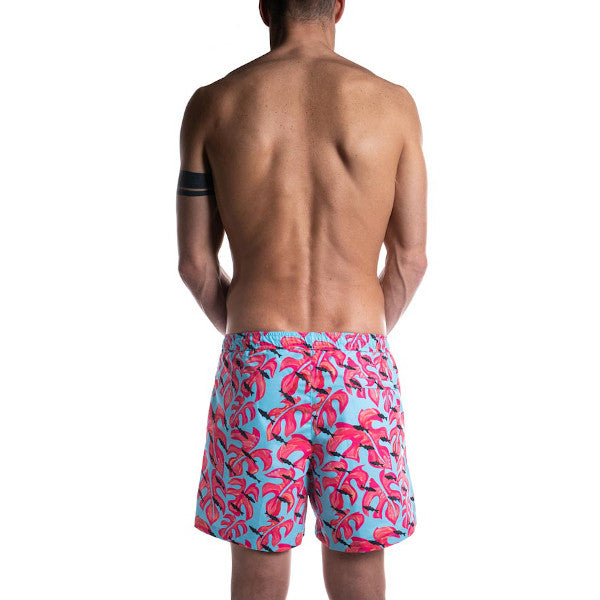 monstera medium boxer back