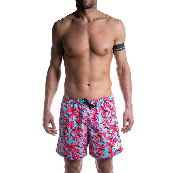 monstera medium boxer front